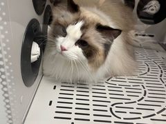 -FAELING PETS美天灵宠物(富力广场店)
