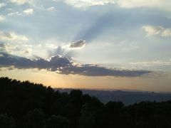 -铁山坪森林公园