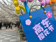 -高东镇樱花园