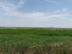 -金山嘴渔村