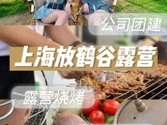 -栖露营camping·天幕烧烤·团建拓展·采摘营地