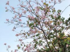 -华南师范大学(广州大学城校区)