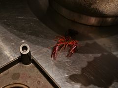 -黄三怪(银座和谐广场店)