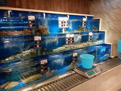 水产区-马路边上·小海鲜烧烤(八一路店)