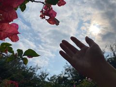 -曼听御花园