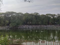 -石家庄市动物园