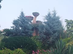 -七宝老街-闵行市民文化广场