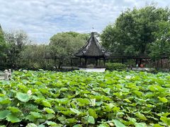 -上海醉白池公园