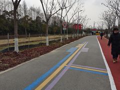 -上海长兴岛郊野公园