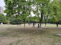 -杭州城北体育公园
