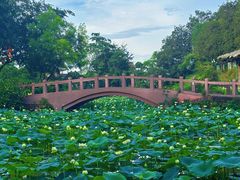 -广州莲花山旅游区
