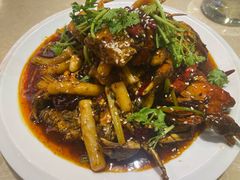 -杨氏青龙虾·羊蝎子(珠江路店)