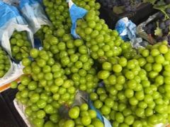 -南坛综合农贸市场