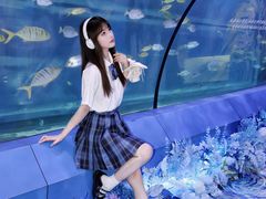 -重庆欢乐海底世界