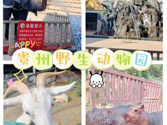 -贵州森林野生动物园