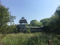 -金鸡湖桃花岛
