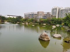 -厦门悦华酒店