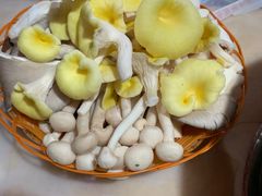 -仙蘑洞