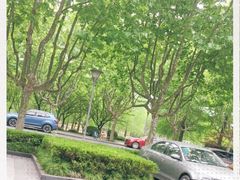 -紫玉轩精菜馆(东川路店)