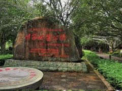 -海口火山口国家地质公园