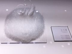 -BLACKSWAN黑天鹅(环球店)