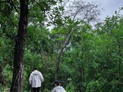 -青龙山国家森林公园