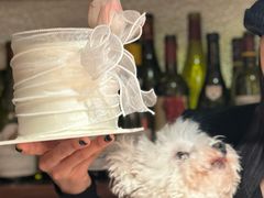 -肆海小川菜酒馆Wine Bistro (青年路店)