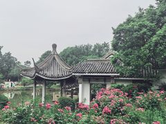 -无锡梅园公园