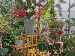 -国家植物园南园