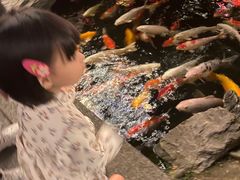 -聚福宝合苑食府(南头镇店)