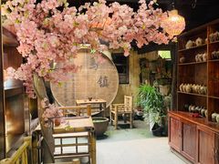 -乌镇东栅景区