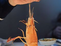 -食廬(虹桥南丰城店)