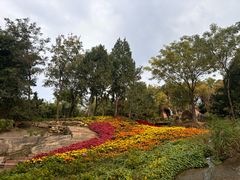 -沂蒙云瀑洞天景区