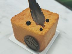 -BLACKSWAN黑天鹅(环球店)