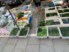 -华声天桥民俗文化园