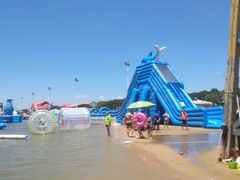 -碧海金沙