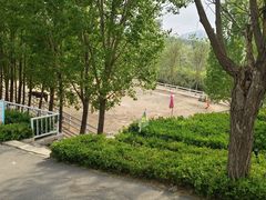 -西部长青自然儿童乐园