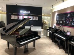 -雅歌音乐培训中心·钢琴培训·乐器培训(交道口店)
