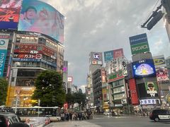 -涩谷区