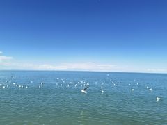 -青海湖国家重点风景名胜区