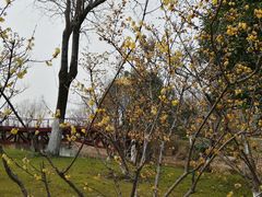 -南通濠河风景名胜区