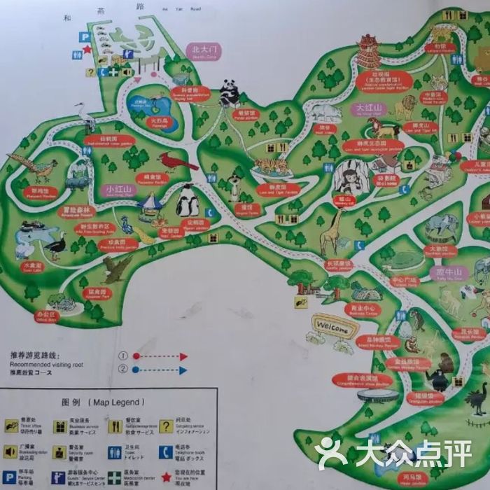 红山森林动物园路线图图片