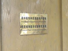 -黑龙江省森林植物园