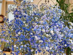 -森野花艺培训·企业团建活动沙龙