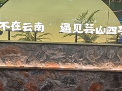 -芸山季·云南山珍菌火锅(南翔印象城MEGA店)
