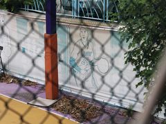 -柴犬高等学院·狗咖·柴犬售卖·宠物训练