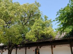 -绳金塔