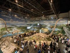 -自贡恐龙博物馆