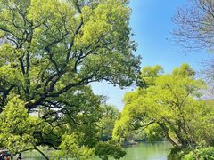 -西溪国家湿地公园