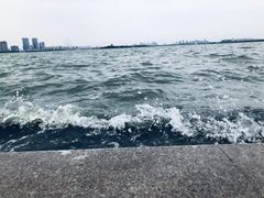 景点-金鸡湖景区
